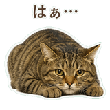 852717618