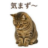 852717624