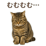 852717626