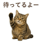 852717627