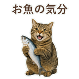 852717631