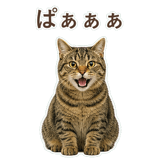852717634