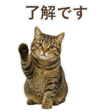 852717635