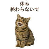 852717641