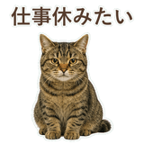852717642
