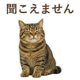 852717643