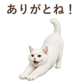 852717649