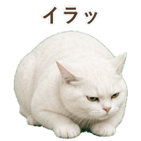 852717650