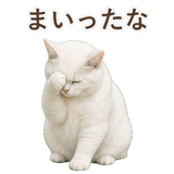 852717651