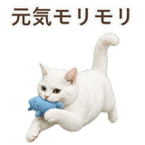 852717652