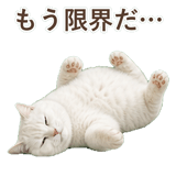852717653