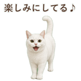 852717655