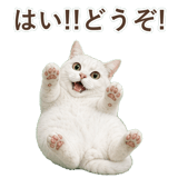 852717661