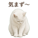 852717664