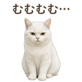 852717666