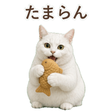 852717668
