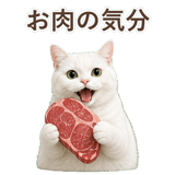 852717669