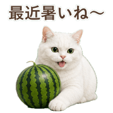 852717670