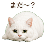 852717676