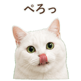852717677