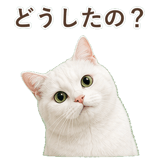 852717678