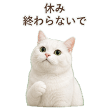 852717681