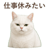 852717682