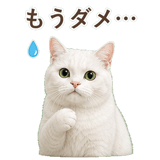 852717684