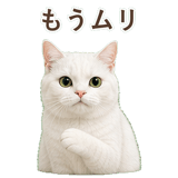 852717686