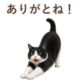 852717769