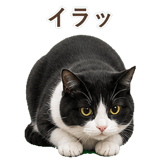 852717770