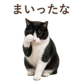 852717771