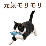 852717772