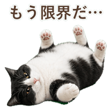 852717773