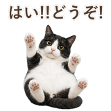 852717781
