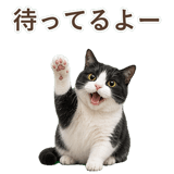 852717787