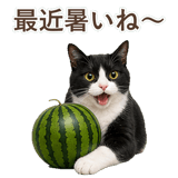 852717790