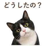 852717798