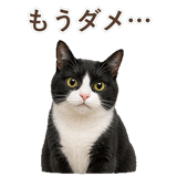 852717804