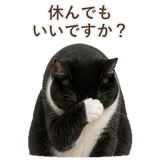 852717805