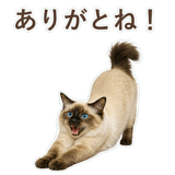 852717809