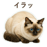 852717810