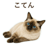 852717825