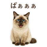 852717834