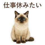 852717842