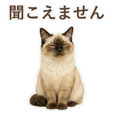852717843