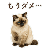 852717844