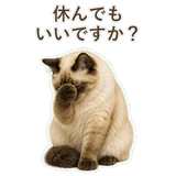 852717845