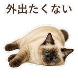 852717847