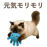 852717940